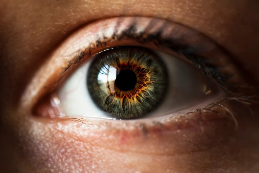 lymphatic iridology readings