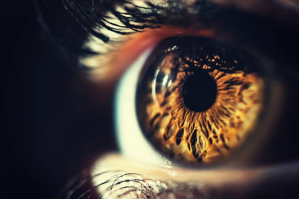 lymphatic iridology readings with detox protocols